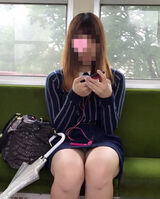 Ferocious people voyeurs who take panchira voyeurs on the train in broad daylight www (15 photos)