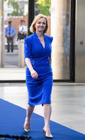 Image: Britain's new prime minister gets 'big breasts'