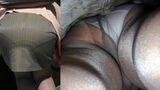 Bus guide's panchira upside down erotic image