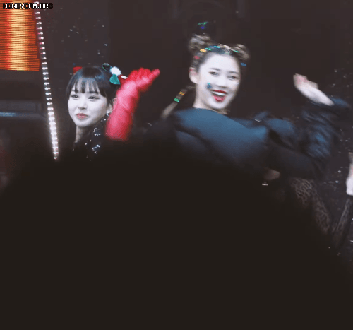 노제 인스타 사진,움짤 모음 12th image