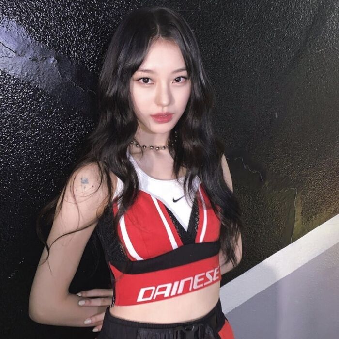 노제 인스타 사진,움짤 모음 36th image