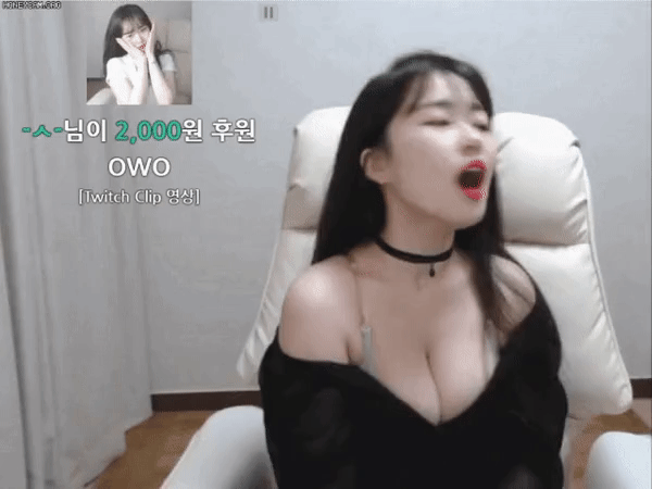 트위치 스트리머 소람잉 움짤 gif 3탄 8th image