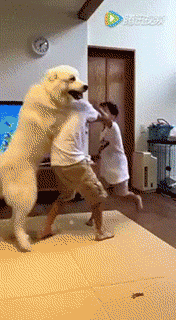 [Video] Big man, wuwuuuwuwuww 12th image