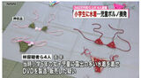 【Image】6th grade JS wearing a string swimsuit as a result wwwwwwwww