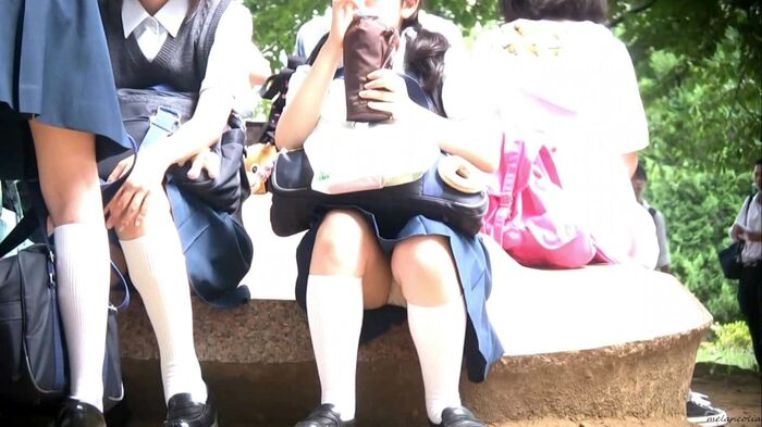 [eros1193 sitting panchira] Serious glasses JK that looks good on white thighs that white socks look good on white thighs that are taken with a telephoto of white P plump crotch during a break 7th image
