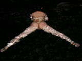 Erotic image of open legs buttocks with open crotch