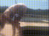 [With GIF] The appearance of a foreign woman peeing is too shocking www
