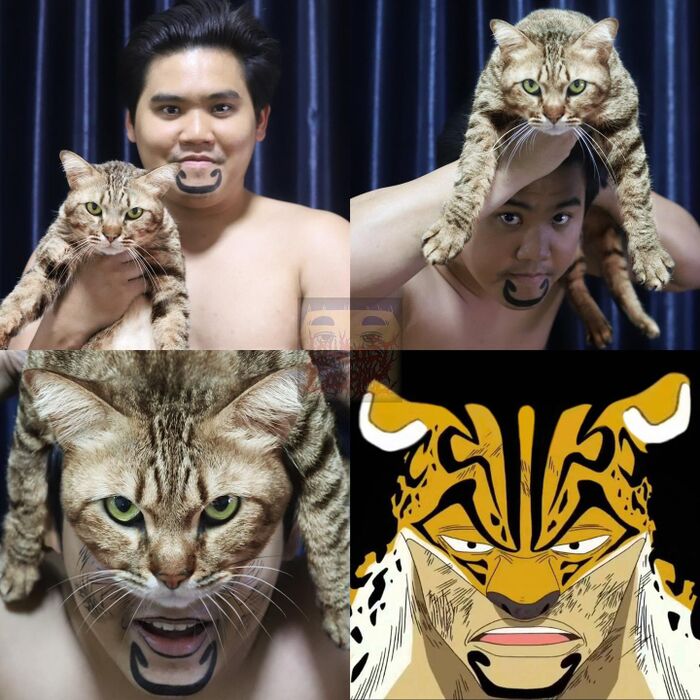 【Image】Cosplayer 'I cosplayed as a snake pillar and a love pillar' 16th image