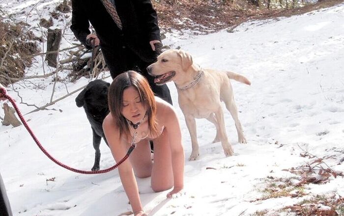 Outdoor training! Erotic images of a female dog tied to a collar and left for a walk or left alone 15th image