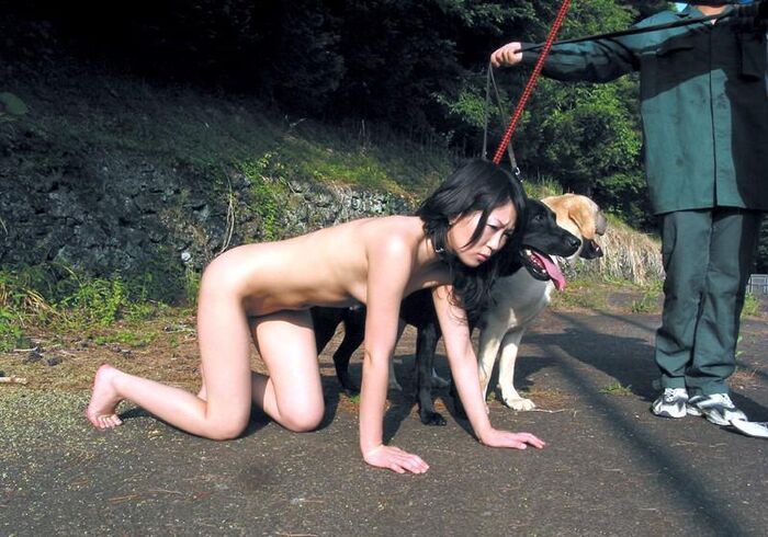 Outdoor training! Erotic images of a female dog tied to a collar and left for a walk or left alone 2th image