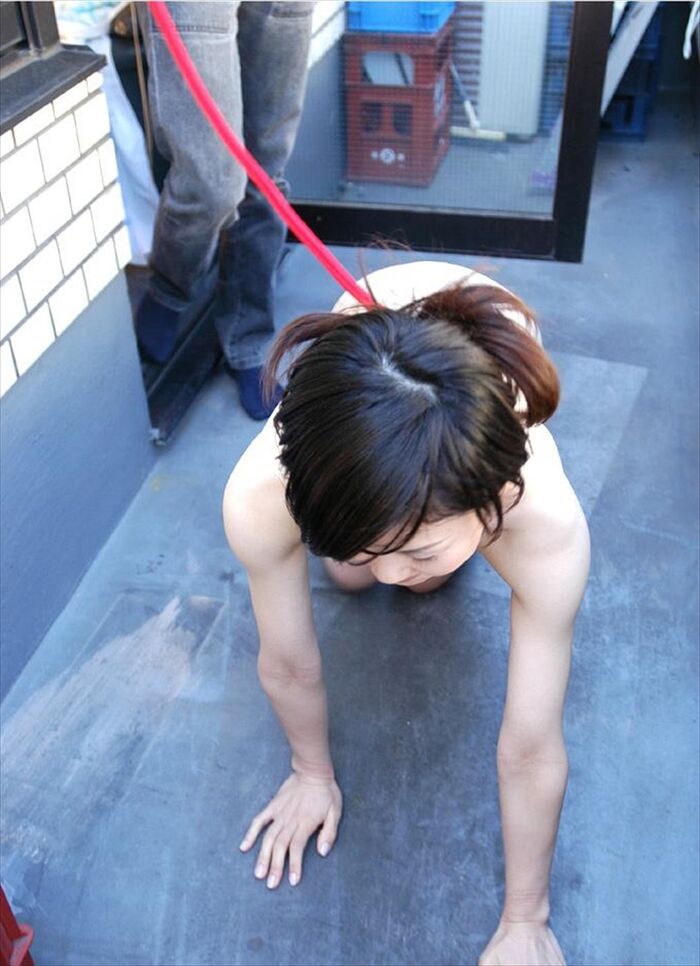 Outdoor training! Erotic images of a female dog tied to a collar and left for a walk or left alone 6th image