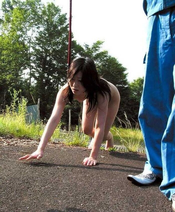 Outdoor training! Erotic images of a female dog tied to a collar and left for a walk or left alone 7th image