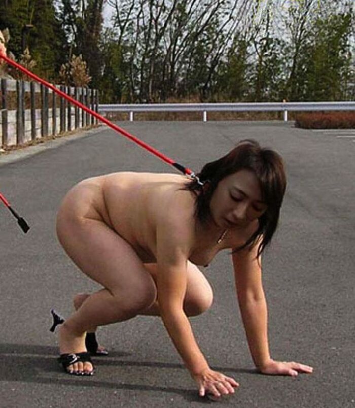 Outdoor training! Erotic images of a female dog tied to a collar and left for a walk or left alone 8th image