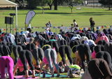 Naughty yoga poses! Erotic images of down dogs sticking out their buttocks