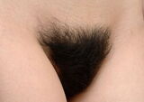 Thin man hair and dark bristles are all put together as a pubic hair close-up erotic image
