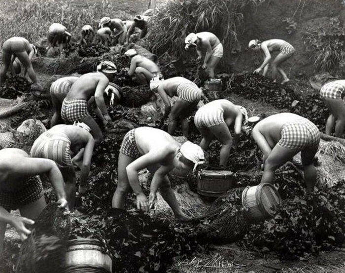48 bare-diving erotic images of Mr./Ms. with topless half-naked pants sexy 14th image
