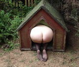Please tell me "hide your head and don't hide your buttocks" with amateur erotic images