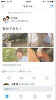 【There is an image】Yokya Mr./Ms., she will upload a photo of her during cherry blossom viewing wwwww