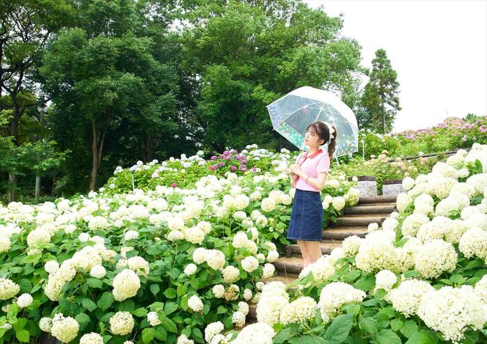 Nagae Rika Nagae Rika 14th image