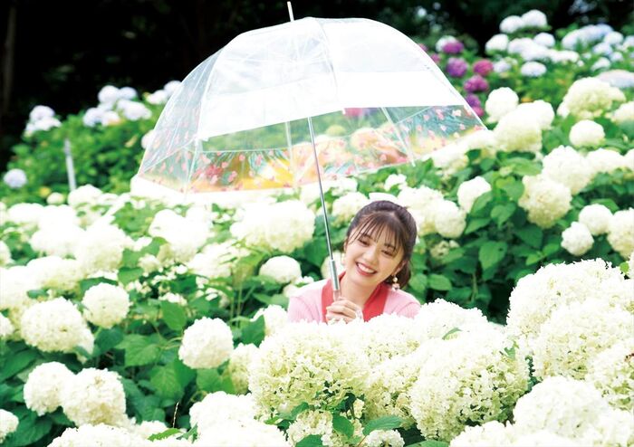 Nagae Rika Nagae Rika 7th image
