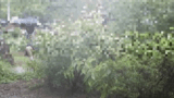 - [Erotic GIF] I'm too excited and my is snapping! A girl whose uniform became soaked by a guerrilla torrential rain ● A student is inevitable www
