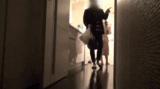 [Erotic GIF] desperate to have sex ... - Take-home Gonzo that a virgin tried! Awkward sex is a little real ww