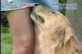 The celebrity's erotic happenings are too radical and I don't have time to rest my wwww