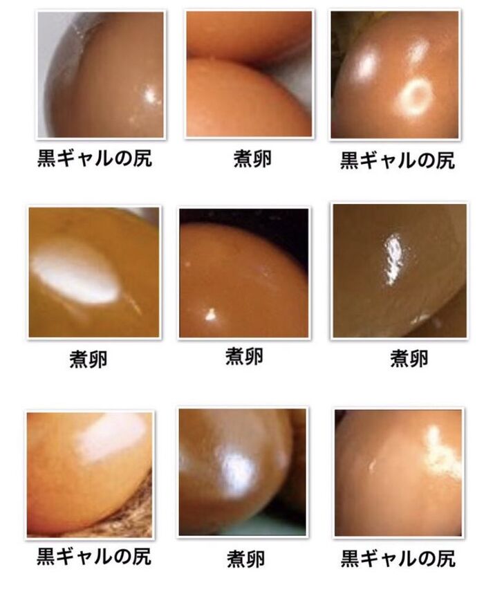 【Image】Quiz to guess whether it is the butt of a black gal or a boiled egg of ramen 4th image